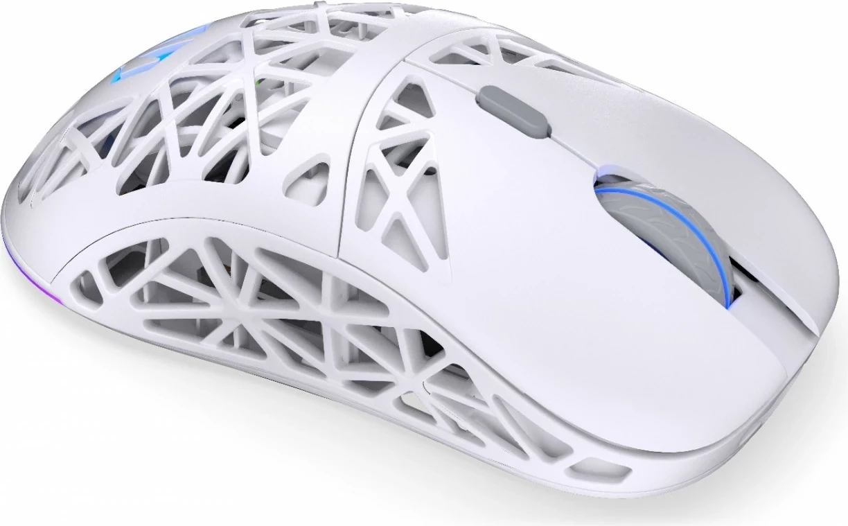 Maus wireless Endorfy LIV Onyx, RGB, i bardhë