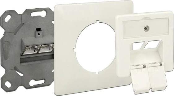 Prizë muri rrjeti DeLOCK, 2x RJ45 Cat.6A LSA, nën suva, e bardhë