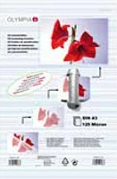 Fletë laminimi Olympia DIN A3, 125 mikron, 25 copë, transparente