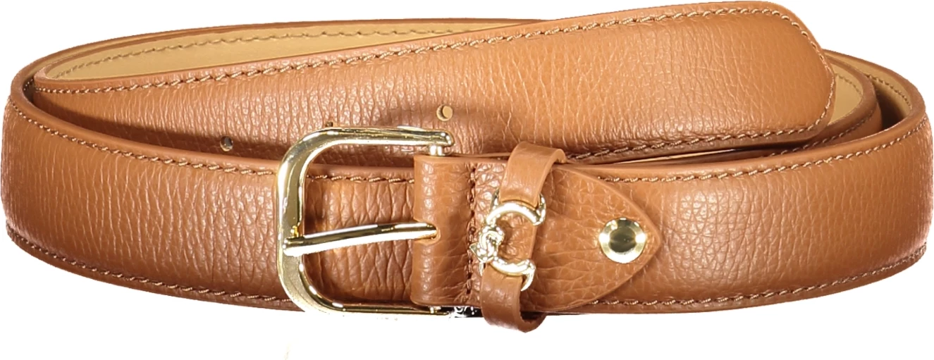 Rryp lëkure Coccinelle femra, kafe