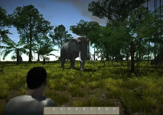Age of Survival EN/DE/FR/IT Global