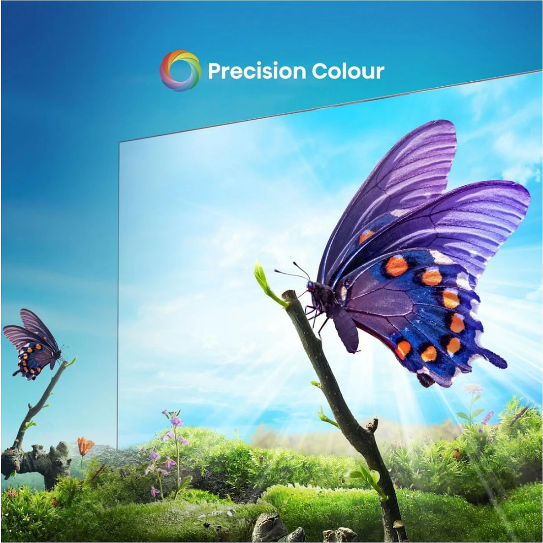 Televizor Hisense 55A6N, UHD 4K, Smart TV, LED, 55 inç, i zi