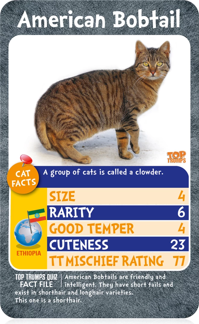 Cats - Who is the Most Mischievous? Top Trump Card Game