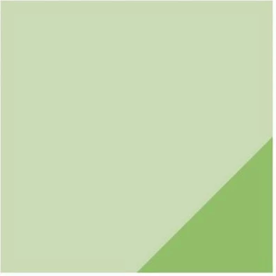 Flip-Flops Puma për meshkuj dhe femra, të gjelbra