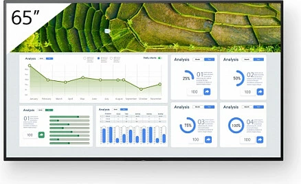 Monitor profesional Sony FW-65BZ30L 65 inç 4K Ultra HD Wi-Fi