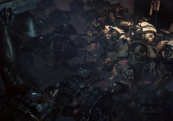 Space Hulk: Deathwing Enhanced Edition EN/DE/FR/RU/ZH/ES Global
