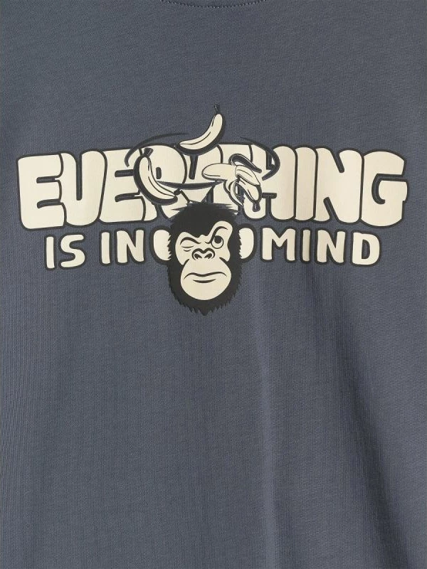 Maicë për djem 4F, gri