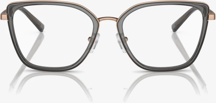 Korniza optike Emporio Armani EA1152 3361 52