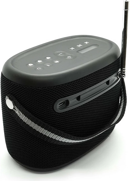 Altoparlant PURE Woodland, outdoor i papërshkueshëm nga uji, FM/DAB+, i zi
