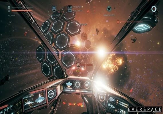 Everspace Global