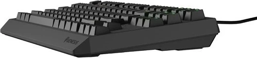 Tastierë mekanike Genesis Thor 230 TKL, Outemu Brown, RGB, anglisht, e zezë