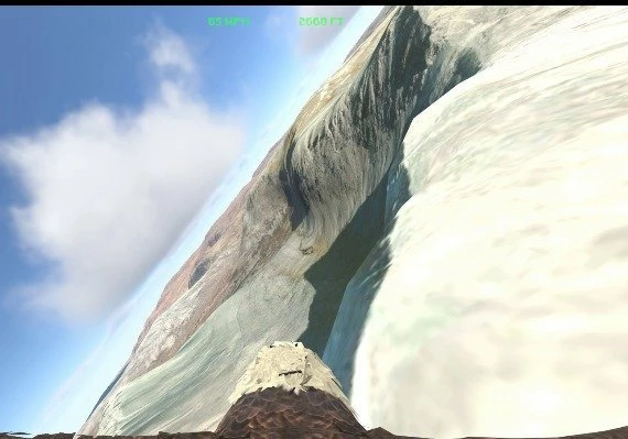 Aquila Bird Flight Simulator EN Global