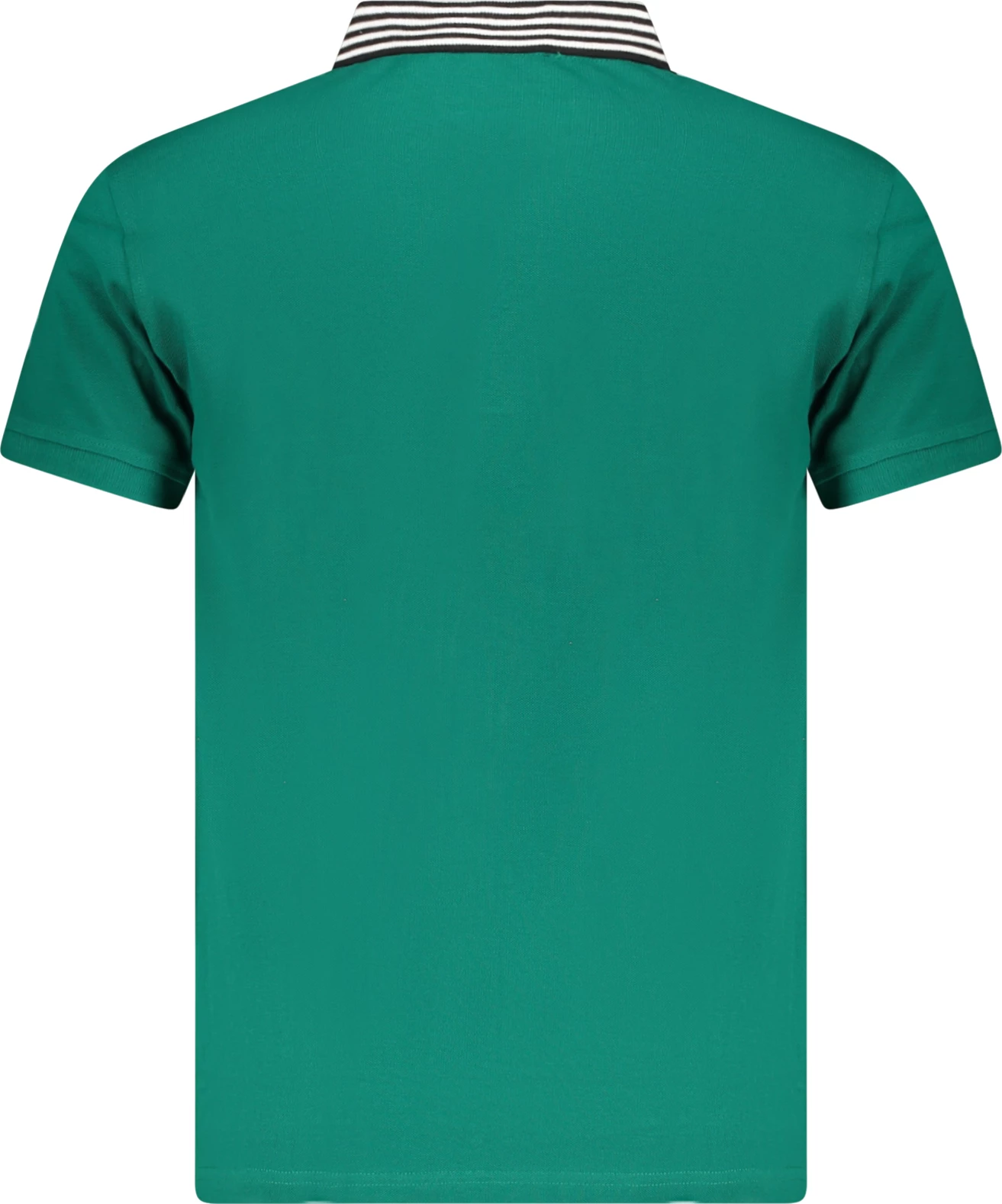 Maicë polo CAVALLI CLASS meshkuj, e gjelbër