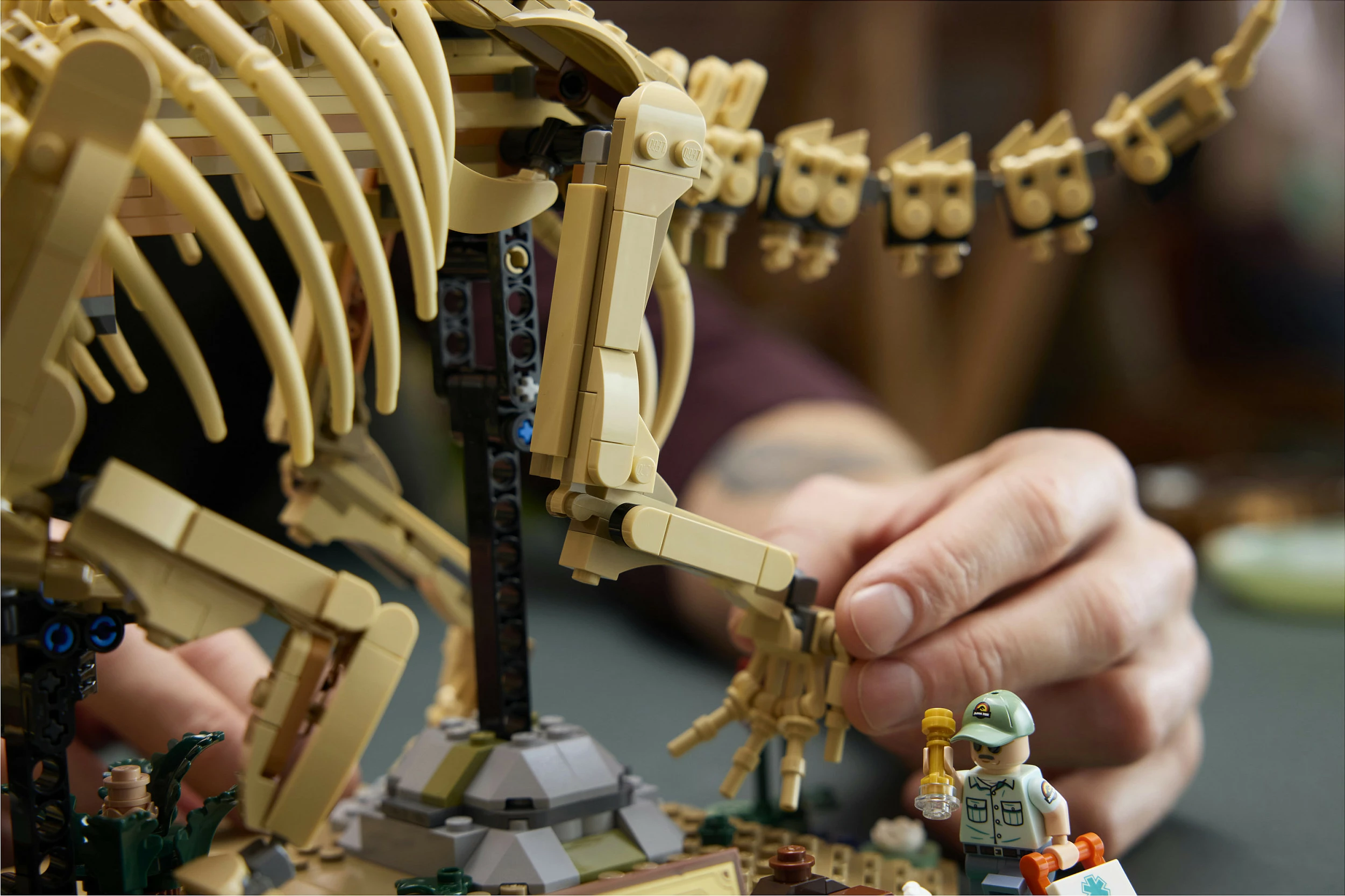 Set ndërtimi LEGO 77985 Dinosaur Fossil Triceratops, 1154 copë, 18+, multikolor
