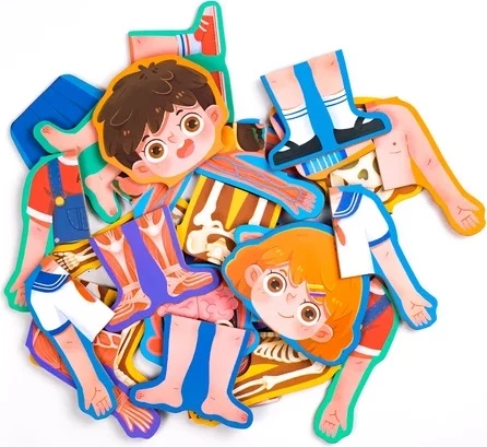 Puzzle Struktura trupore PSTD, djalë