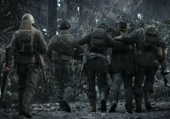 CoD Call of Duty: World War II   WWII - Endowment Bravery Pack DLC Global