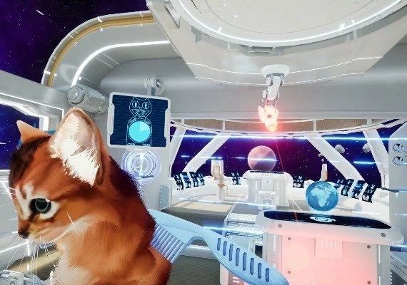 Kitten'd Global