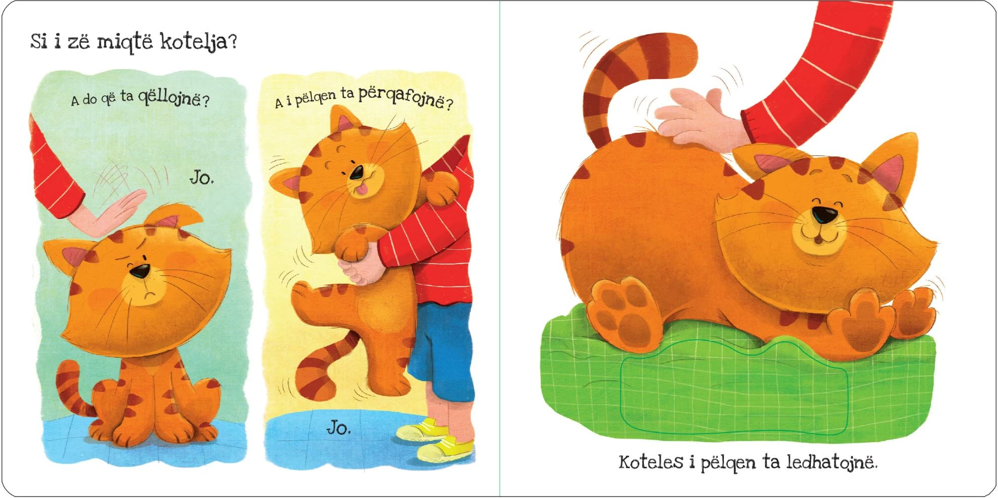 Cfare pelqen kotelja