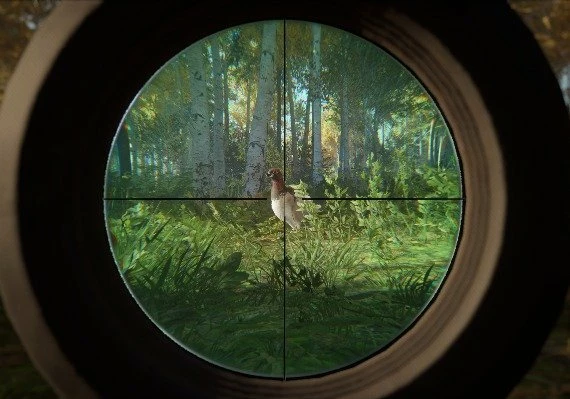 theHunter: Call of the Wild - Revontuli Coast DLC Global