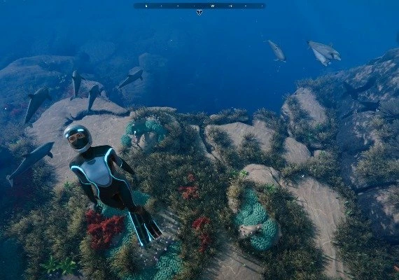 Beyond Blue Global