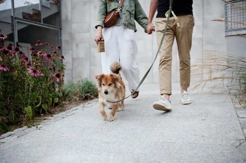 Qese kompostuese Starch Bag, 8x15 copë, Lila