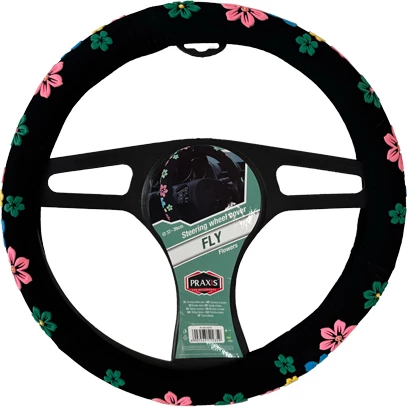 Praxis Mbrojtes i Timonit Flaj