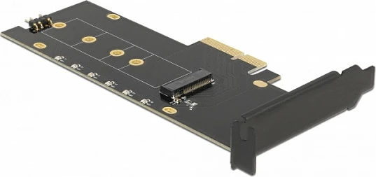 Kartë zgjerimi PCIe DeLOCK, adapter M.2 NVMe Key M me heatsink, Low Profile, PCIe 4.0, RGB, e zezë