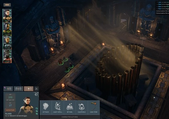 Solasta: Crown of the Magister - Palace of Ice DLC EN/DE/FR/PT/RU/ZH Global