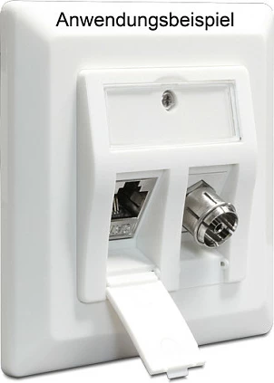 Prizë muri DeLOCK 86202, 2x Keystone, 80x80 mm, e bardhë