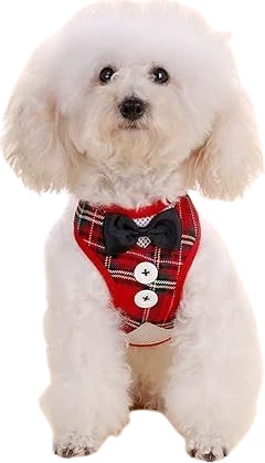 Set këmishë & litar për qen KQP2, e kuqe, S