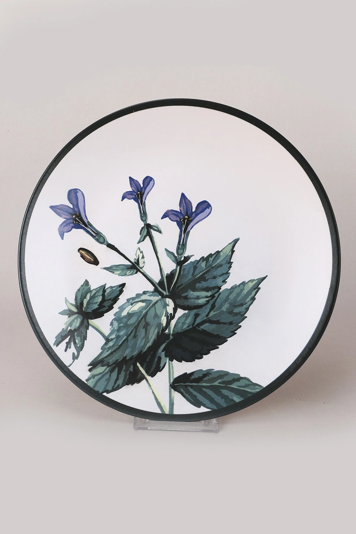 Set pjatash shërbimi, 6 copë, Hermia Concept, ST040406F022AMD3600MAS3T00