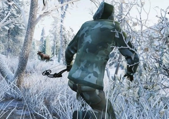 Hunting Simulator EN Global