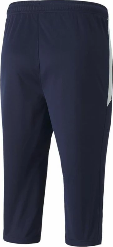 Pantallona sportive për meshkuj Puma, blu marine