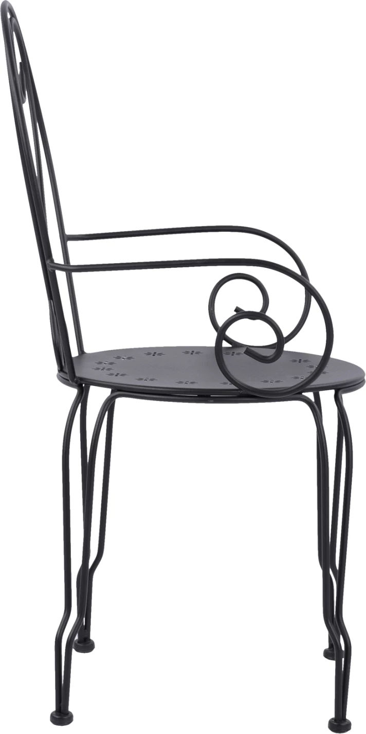 Karrige metalike Amore, ngjyrë e zezë, FH5008.11, 49x48x90 cm