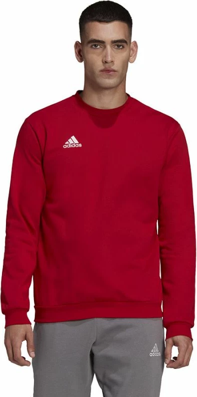 Duks adidas për meshkuj, i kuq [Madhësia: XXL]