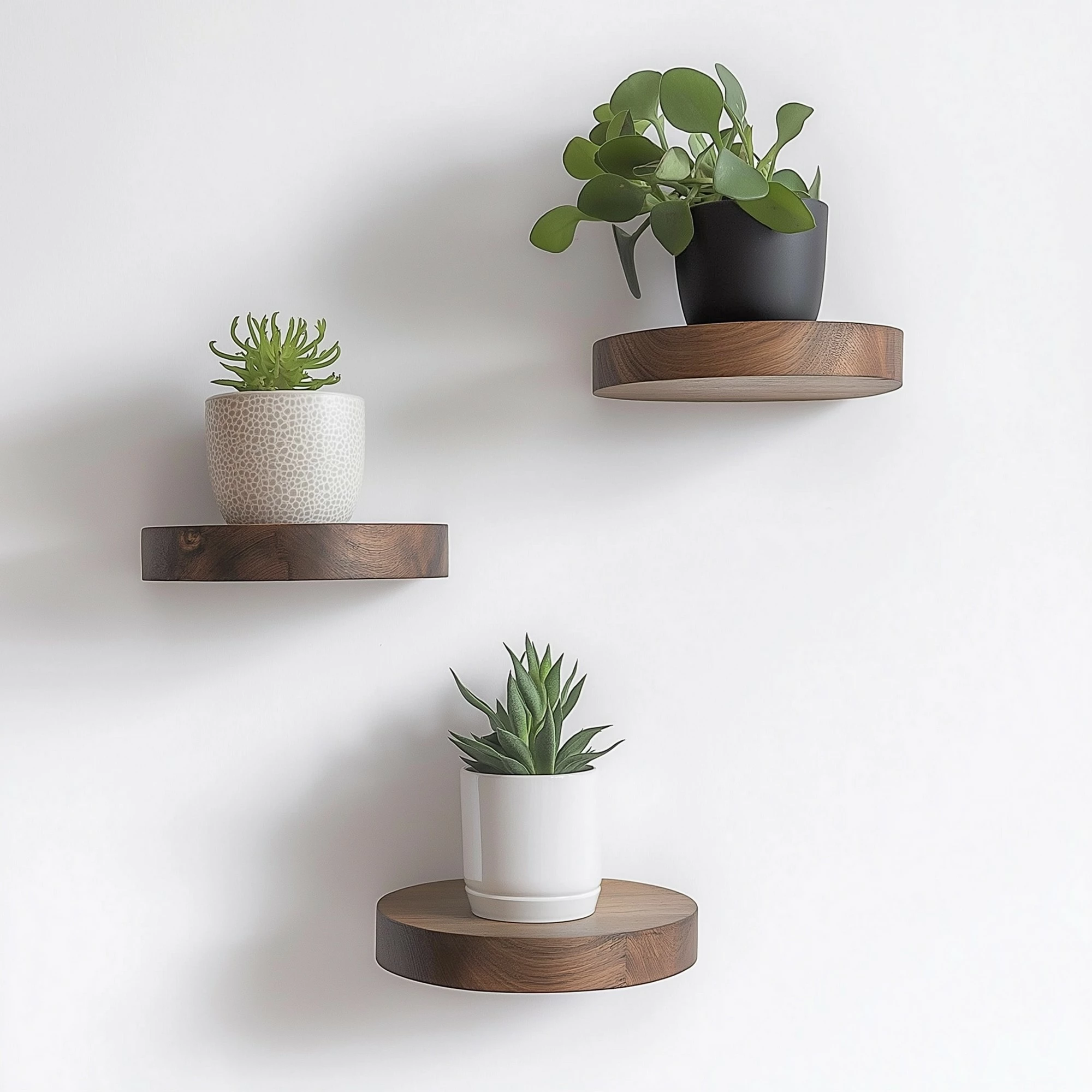 Set rafesh dekorativ prej druri, Hanah Home, Raf283