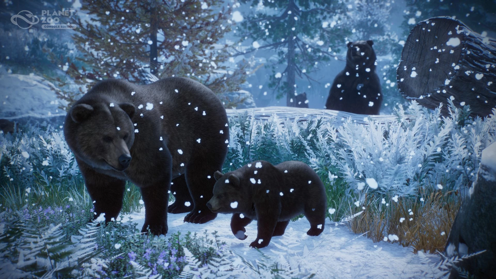 Lojë për PlayStation 5 Fireshine Games Planet Zoo Console Edition, PEGI 3