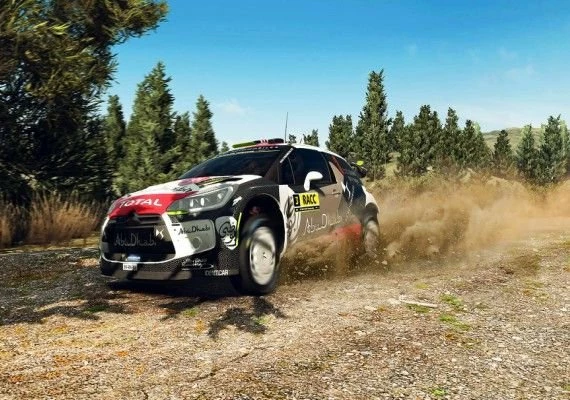 WRC 5 EN Global