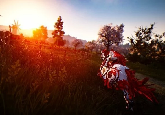 Black Desert - Special Gift Bundle 2 DLC EN Global