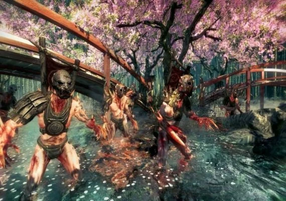 Shadow Warrior Special Edition EN Global