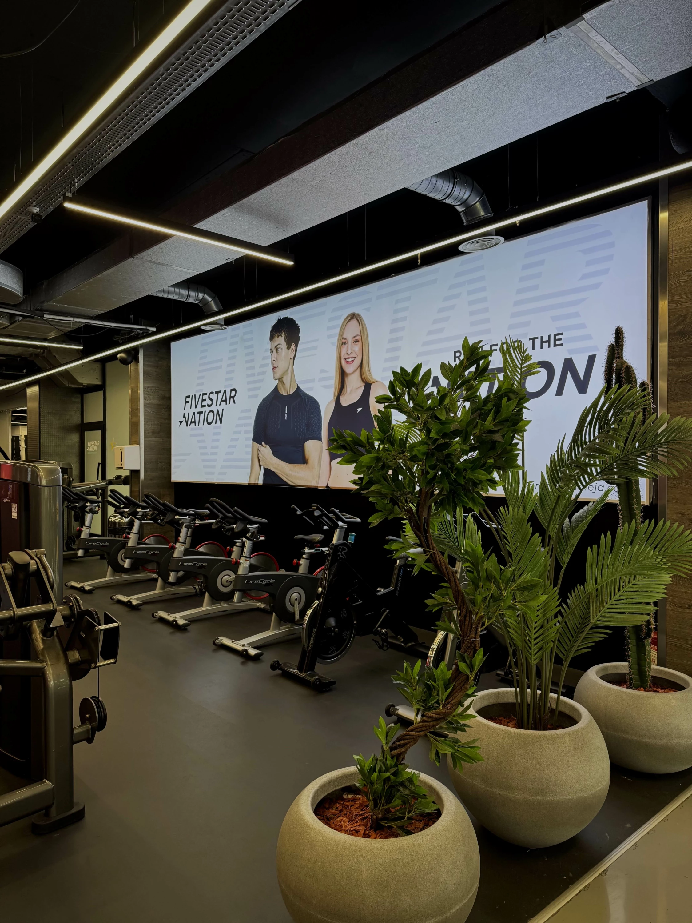 Pako fitnesi Fitstar UniClub, 1 vjeçare