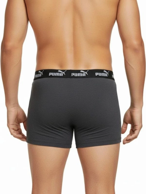 Të brendshme Puma për meshkuj, gri