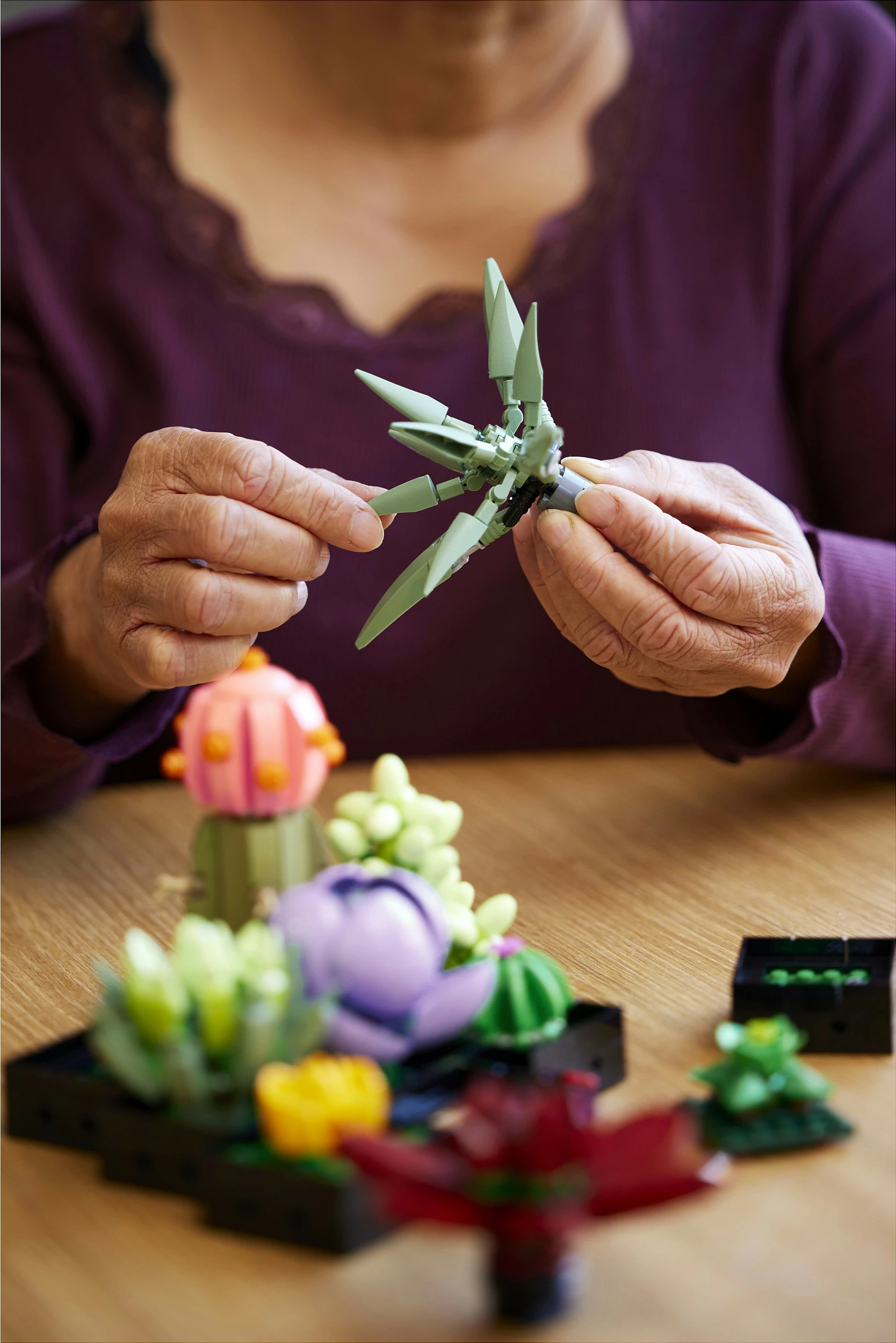 Set ndërtimi LEGO Botanicals Succulents 10309, 771 copë, 18+, multikolor