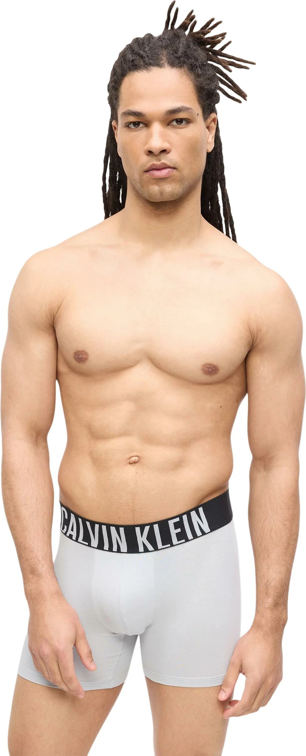 Të brendshme për meshkuj Calvin Klein Underwear 000NB3609A, gri-zezë [Madhësia: L]
