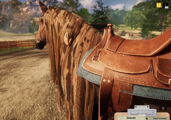 Animal Shelter: Horse Shelter DLC Global