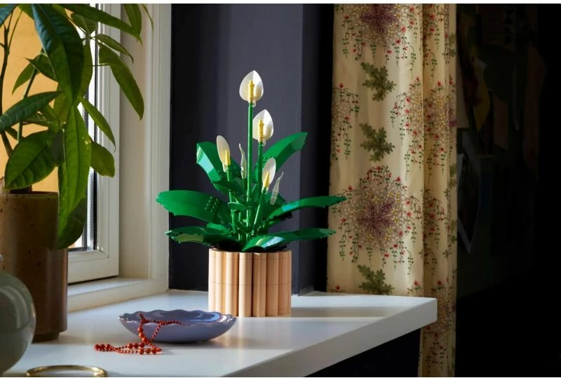 Set LEGO Botanical për të rritur, Spathiphyllum në vazo