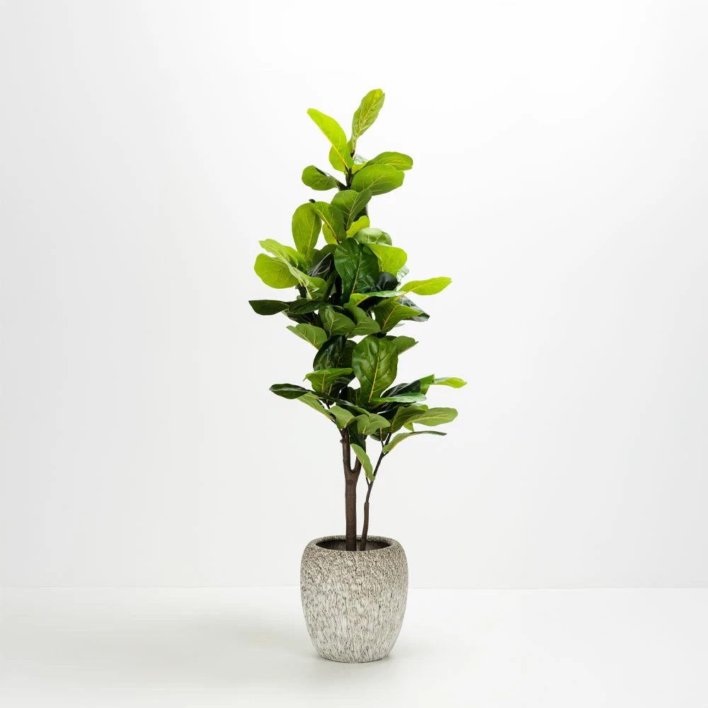 Set dy vazo KANCHE, qeramikë, bezhë e zezë, 48x48x39