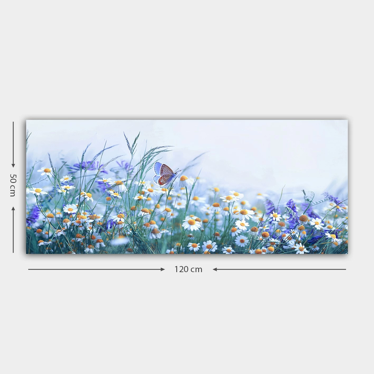 Pikturë dekorative në kanavacë, shumëngjyrëshe, YTY321428297209_50120, 50x120cm