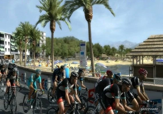 Pro Cycling Manager 2013 EN/DE/FR/IT Global