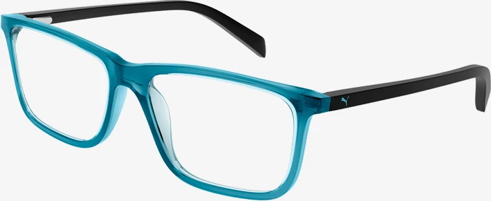 Korniza optike Puma PJ0066O-004 50